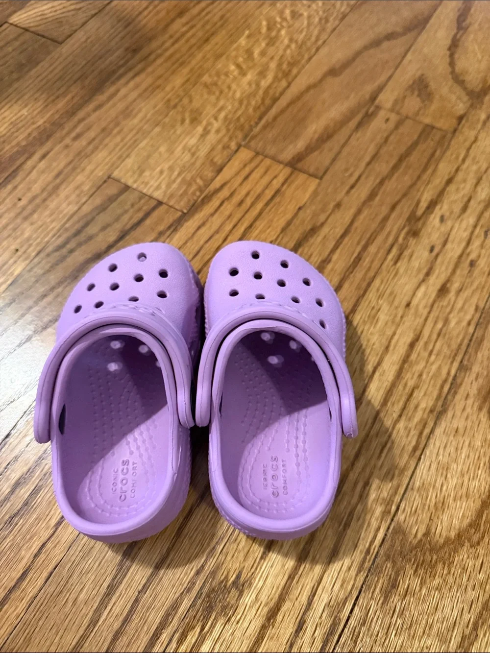 CROCS Kids Classic Clog in Lavender Purple